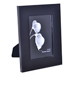 photo frame 4x6